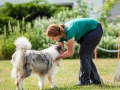 Hundemaedchen_Agility_Training_PSSV_Marburg_Ebsdorfergrund (44)