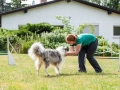 Hundemaedchen_Agility_Training_PSSV_Marburg_Ebsdorfergrund (67)