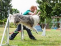 Hundemaedchen_Agility_Training_PSSV_Marburg_Ebsdorfergrund (73)