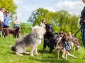 Hundefreunde_Marburg_Gassi_Treffen_Hund_Hunde_Freunde_Coelbe_Spaziergang (22).jpg