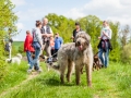 Hundefreunde_Marburg_Gassi_Treffen_Hund_Hunde_Freunde_Coelbe_Spaziergang (32).jpg