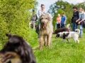 Hundefreunde_Marburg_Gassi_Treffen_Hund_Hunde_Freunde_Coelbe_Spaziergang (37).jpg