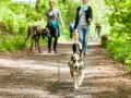 Hundefreunde_Marburg_Gassi_Treffen_Hund_Hunde_Freunde_Coelbe_Spaziergang (7).jpg