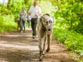 Hundefreunde_Marburg_Gassi_Treffen_Hund_Hunde_Freunde_Coelbe_Spaziergang (9).jpg