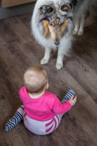 Hat sie vielleicht etwas zu Essen in der Hand?